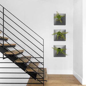 Three large black Modern wall planters for house plant by metal staircase.