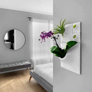 Sculptural and modern green wall with orchids and air plants in a Modern home bedroom.