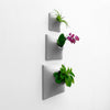 Set of three gray wall planters with air plant, house plant, and orchid.