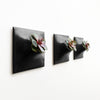 Three black modern wall planters with succulents. 