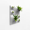light gray wall planter with airplants