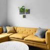 Three sculptural wall planters holding house plants above a yellow Modern sofa.