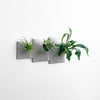 Set of three gray sculptural modern wall planters using a variety of house plants. 