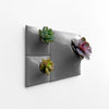 Dark gray Modern wall planter living wall with succulents.4