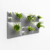Sculptural and stylish green wall for moss, air plants, and house plants. 