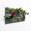 Sculptural Modern green wall art with Peace LIly, house plants, and air plants. 