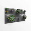 Sculptural Modern green wall with succulents on white modern wall.