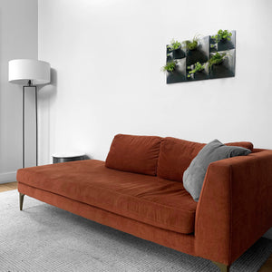 Large black Modern wall planter with air plants and house plants above a red orange Modern sofa in a living room.