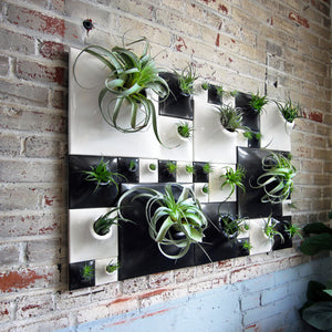 A variety of Node Wall Planters installed on a brick wall