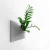 12 inch white wall planter with house plant.