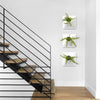 Three stacked white wall planters holding house plants near metal staircase. 