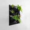 black wall planter living wall