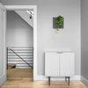 12 inch dark gray wall planter with philodendron house plant in modern home hallway.