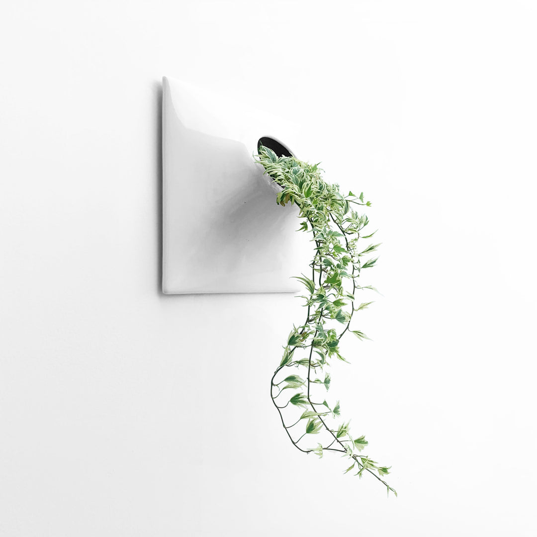 12 inch white hanging planter Node Wall Planter 12 Inch