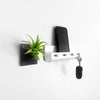 Black wall planter with green air plant in modern green home.