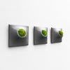 Three modern wall planters with moss. 
