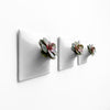 Set of three 6 inch light gray wall planters with succulent plants.