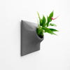 9 inch dark gray wall planter with Peace Lily.