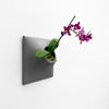 Modern wall planter for beautiful orchids. 