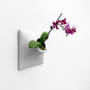 9 inch light gray wall planter with orchid.