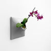 Gray wall planter with beautiful purple orchid.