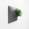 Gray modern wall planter for succculents. 
