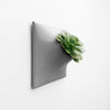 Cool modern wall planter for succulents. 