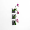 Set of three 9 inch dark gray vertical wall planter with orchids.