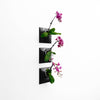 Set of three 9 inch black vertical wall planters with with orchids.