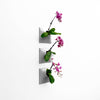 Set of three 9 inch medium gray vertical wall planter with orchids.