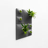 dark gray plant wall 