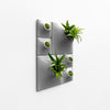medium gray wall planter living wall 