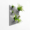 medium gray wall planter plant wall