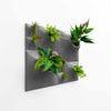 Small sculptural modern green wall using Peace Lily, house plant, ad air plants. 
