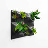Black sculptural Modern green wall using Peace Lily, house plants, and air plants. 