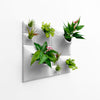 Sculptural green wall with Lily of the Valley and air plants. 