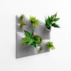Sculptural green wall with Lily of the Valley and air plants. 