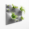 Modern sculptural green wall art with house plants, air plants, and moss. 