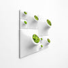 Unqiue moss wall art for Modern home.