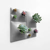 Modern small green wall using succulents. 