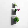 Three wall planters with orchid, house plant, and air plant displayed vertically on a wall.