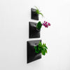Set of three sculptural modern wall planters in a vertical line with house plant and air plant.