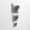 Three sculptural wall planters of different sizes displayed vertically using succulents. 