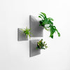 Arrangement of three modern sculptural wall planters with Swiss Cheese plant, air plant, and succulent.