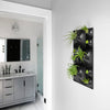 Black Modern green wall art with tillandsia air plants hanging outside of white Modern home bathroom. 