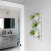 Large white modern green wall with tillandsia air plants in a modern bathroom.