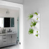 White indoor plant wall with airplants in front of a modern bathroom 