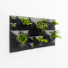Sculptural green wall art for common indoor plants. 
