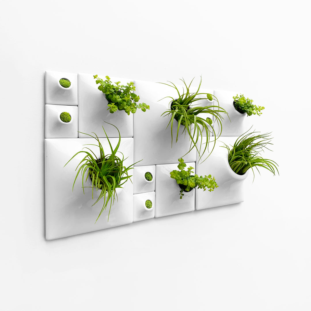 wall planter air plant Node Wall Planter