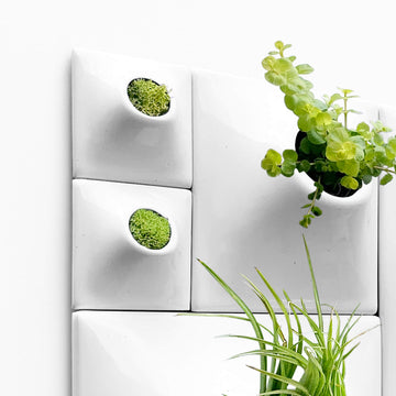 Node Wall Planter